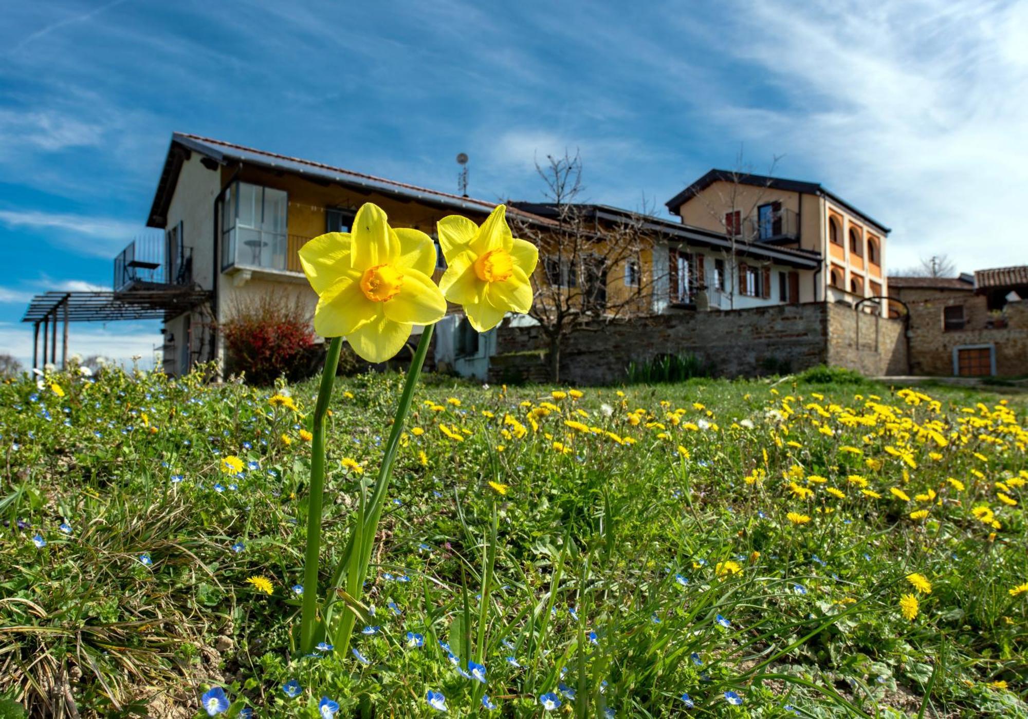 Апартаменти Cascina Nomade - Wine & Scenic Retreat Дольяні Екстер'єр фото